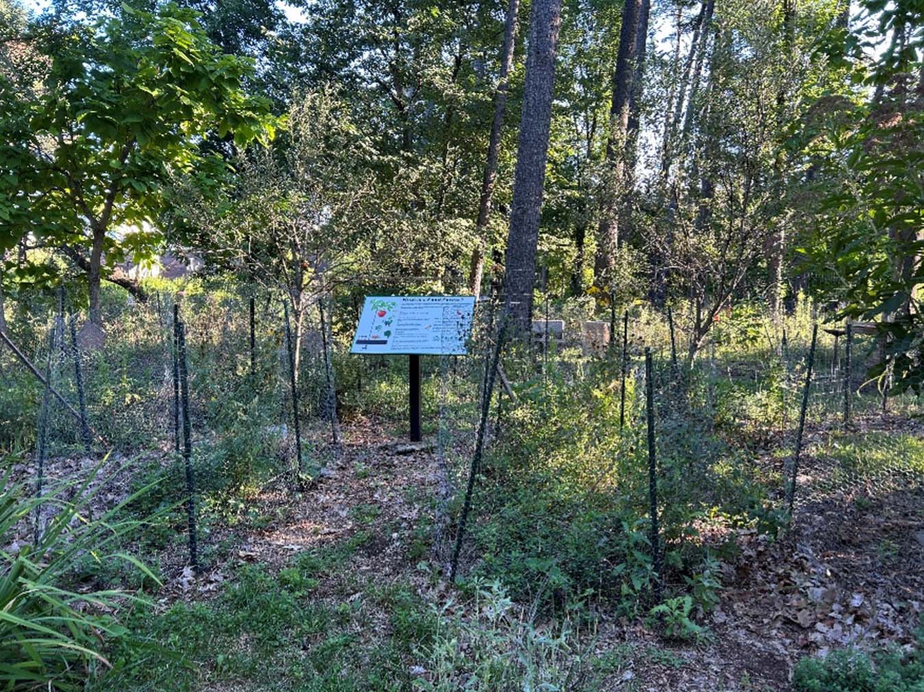 food forest