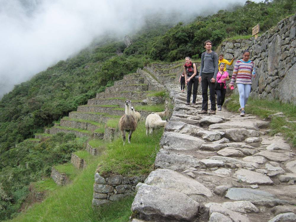 IMG_0327 remake IMG_0327 remake