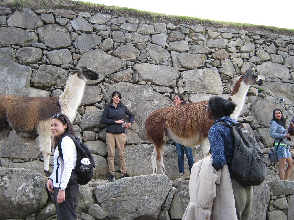 IMG_0407 remake IMG_0407 remake