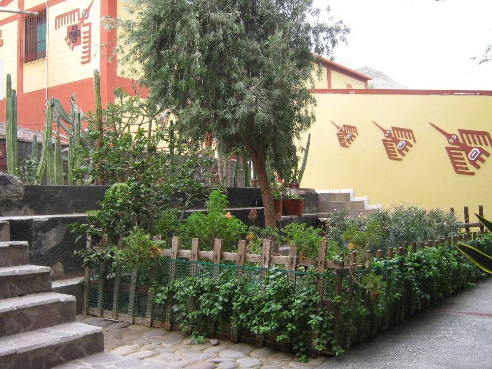 Centro Mallqui 1 Centro Mallqui 1